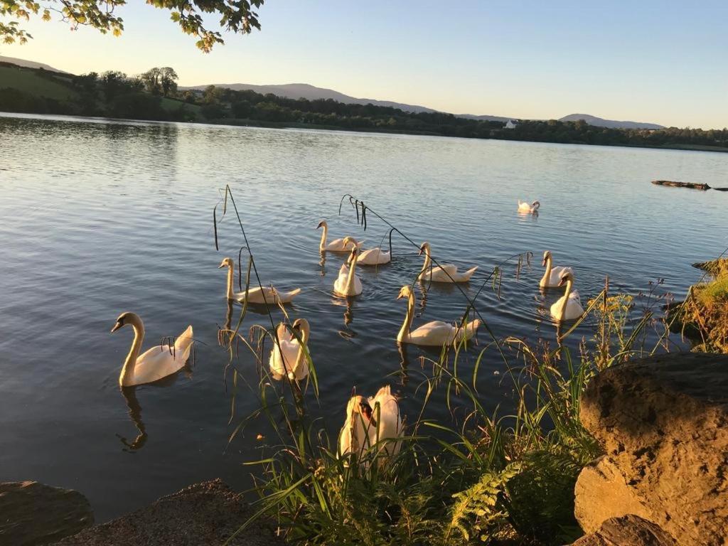 Lakeside Lookout Bantry كورك المظهر الخارجي الصورة