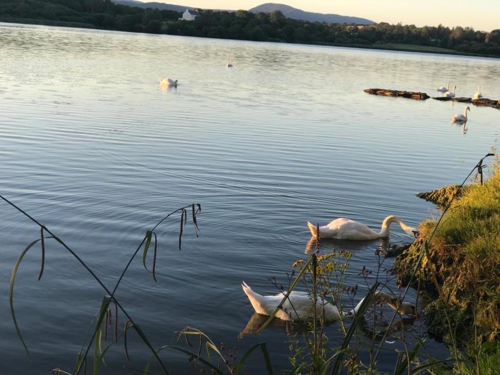 Lakeside Lookout Bantry كورك المظهر الخارجي الصورة